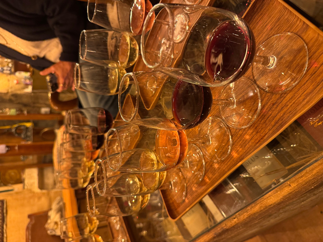 Vinodocia Wine & Art House-乌奇萨必去景点