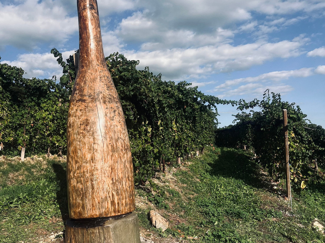 Azienda Agricola Bortolin Alessandro-Santo Stefano必去景点