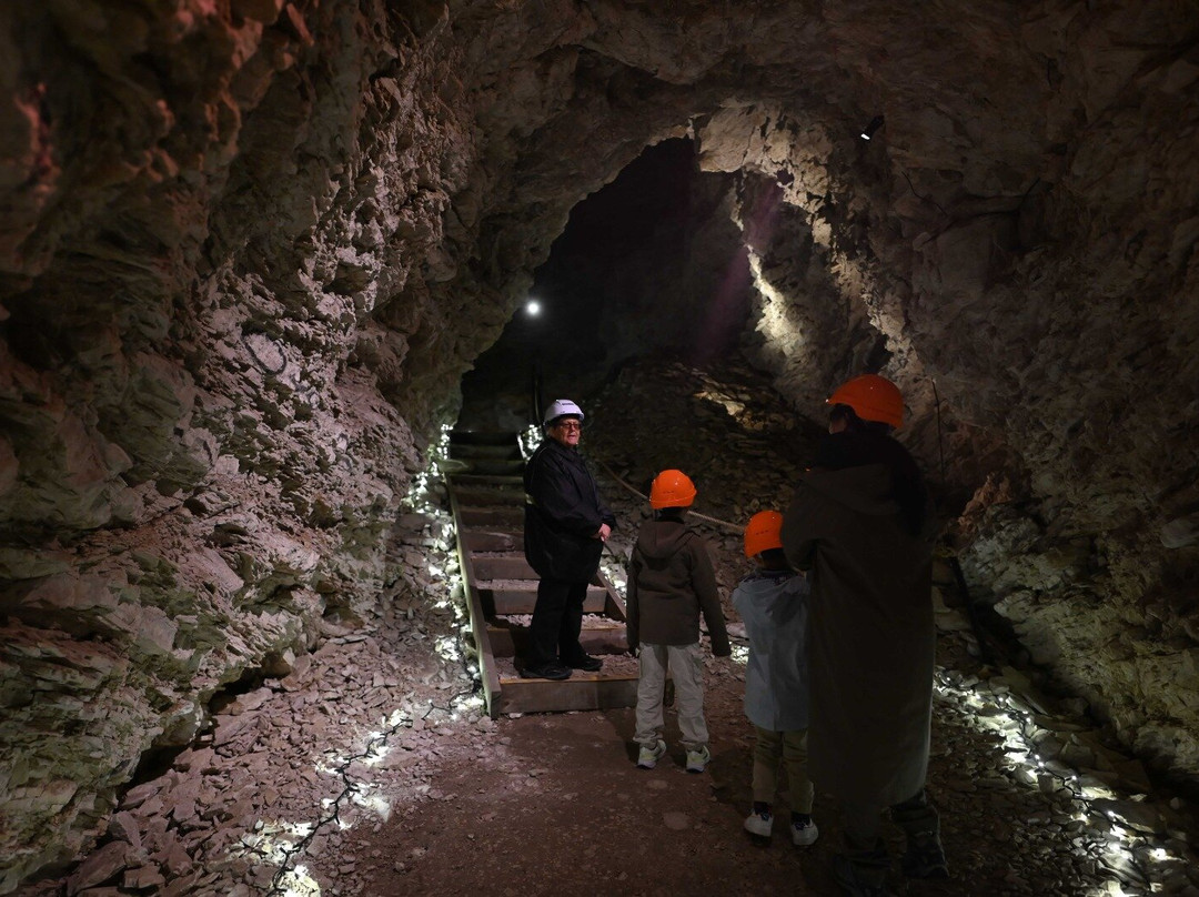 Kaikōura Cave Tours-Kaikoura必去景点