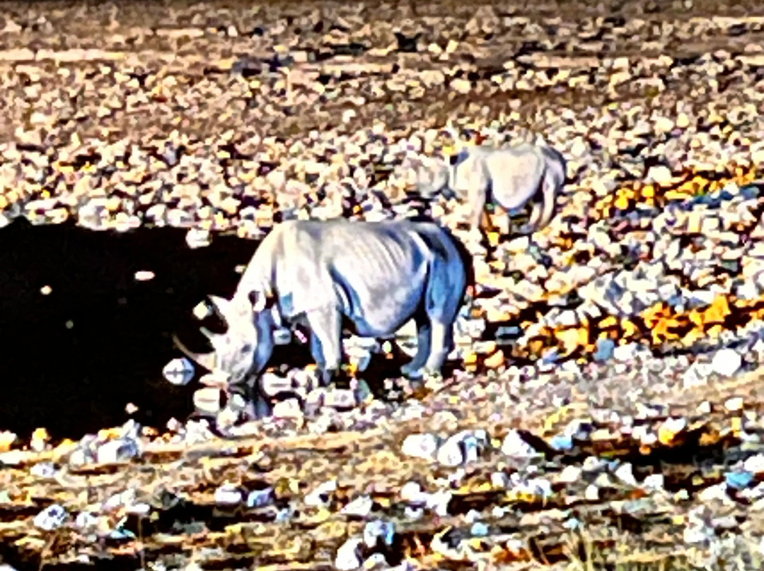 Okaukuejo waterhole-纳米比亚埃托沙国家公园必去景点