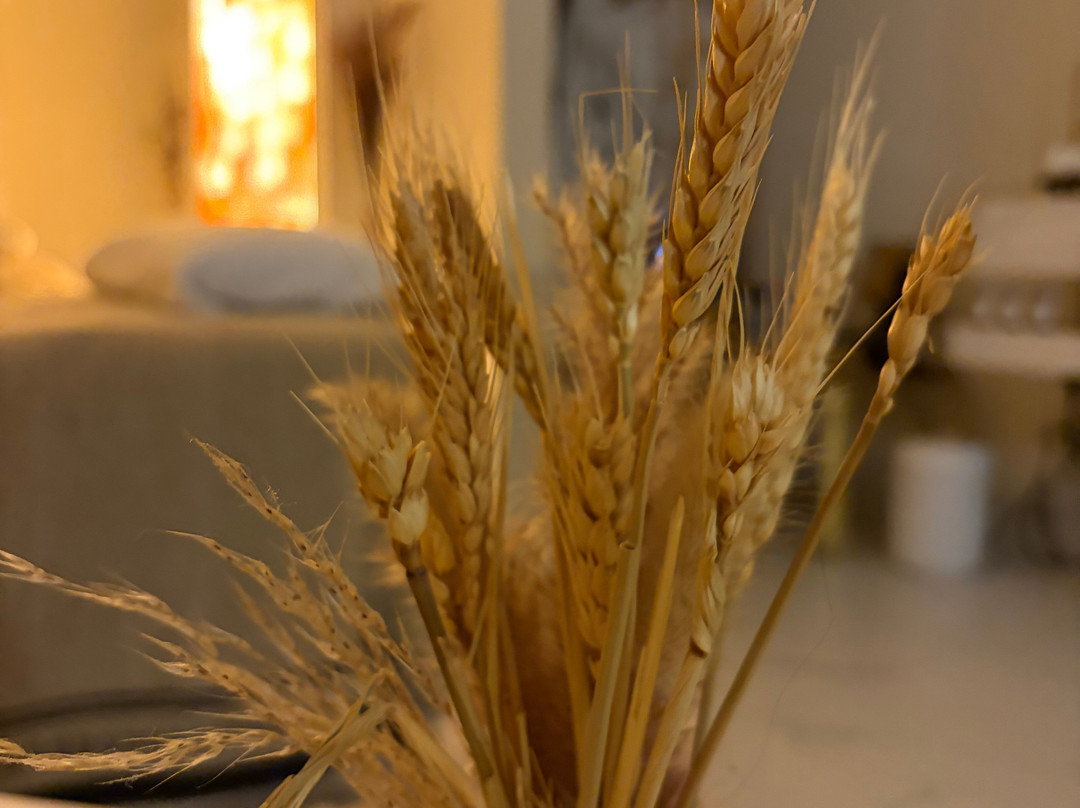 Naturelife Spa Marina Abu Dhabi-阿布扎比必去景点