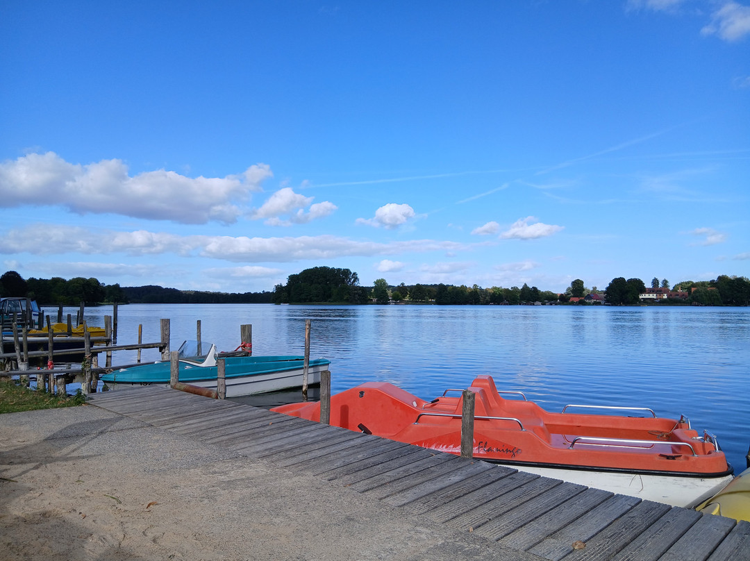 Fisch und Ship