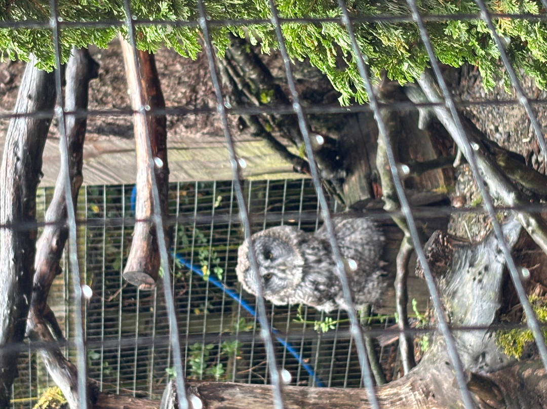 North Island Wildlife Recovery Centre-Errington必去景点