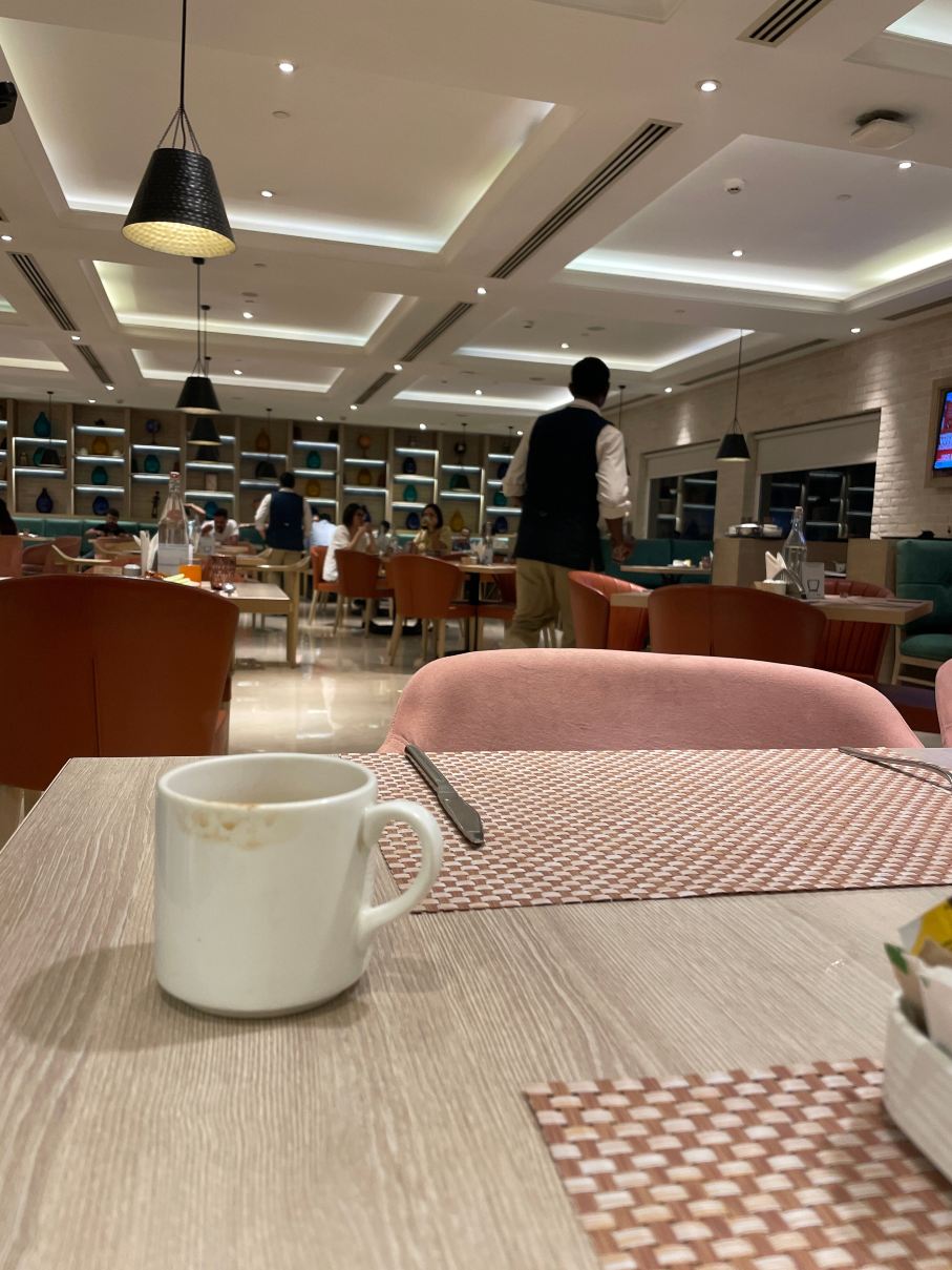 加尔各答新镇柠檬树高级酒店-旅行者