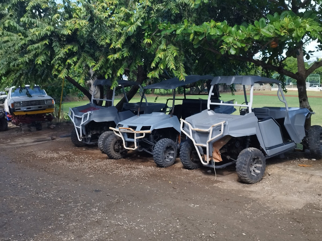 Airport Taxi Pop Tours Transfer Dominican Republic-普拉塔港必去景点