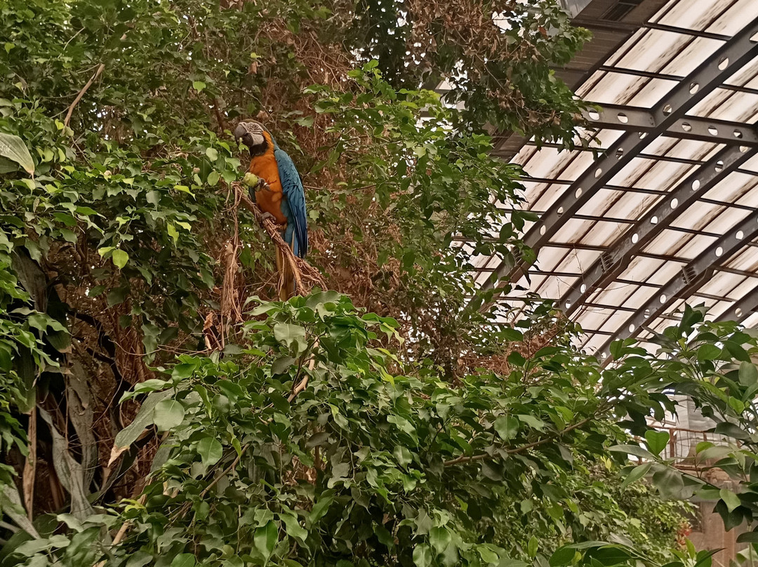 Izmir Wild Life Park-伊兹密尔必去景点