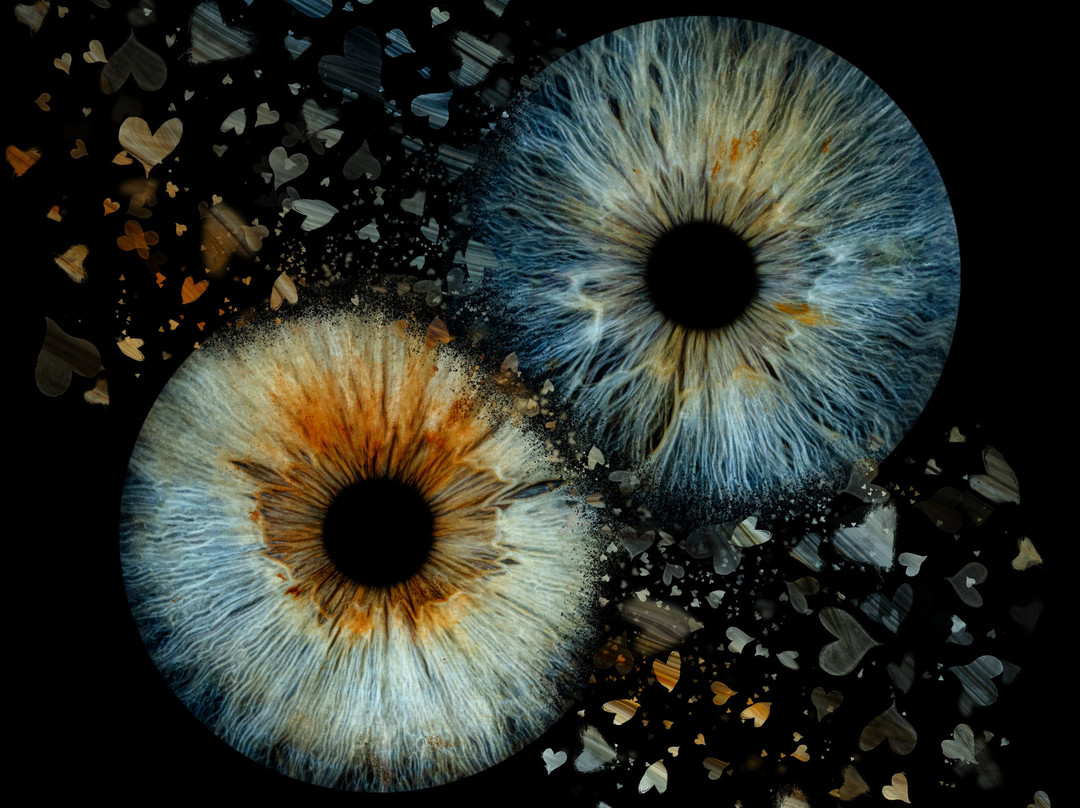 Iris Galerie Amsterdam Spiegelgracht-阿姆斯特丹必去景点