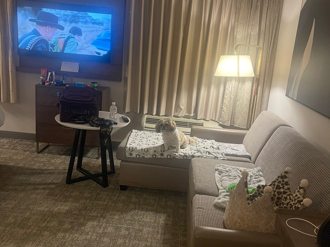 Staybridge Suites 威尔明顿东 by IHG主图
