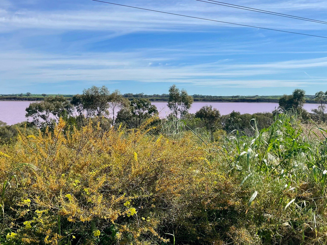 Pink Lake-Dimboola必去景点