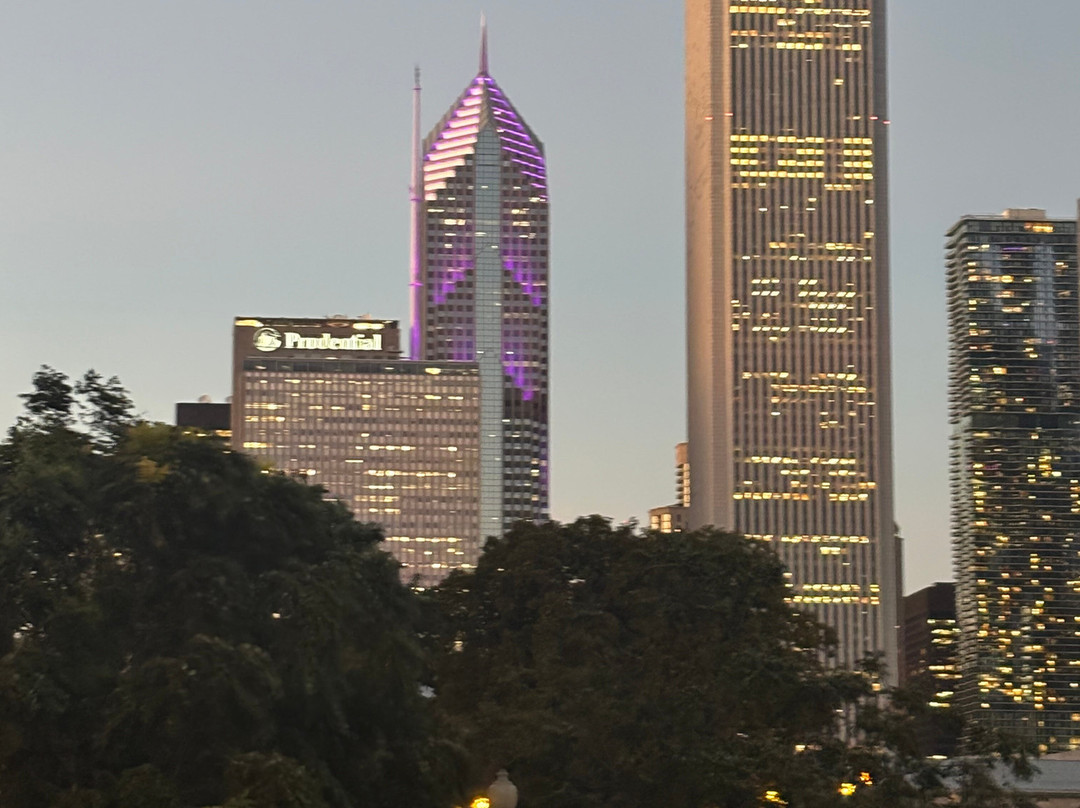 Chicago Skyline-芝加哥必去景点
