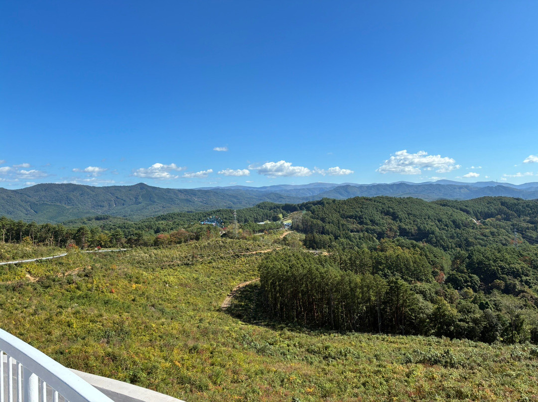 Iwayama Observatory