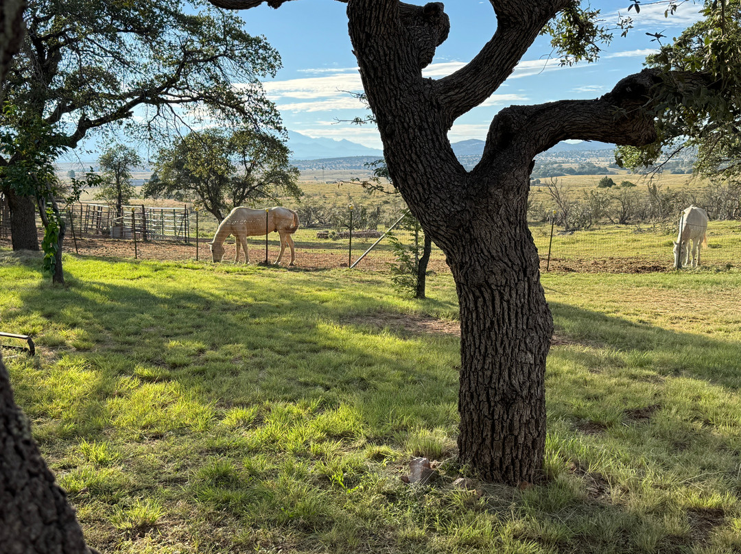 Double R Guest Ranch-Elgin必去景点