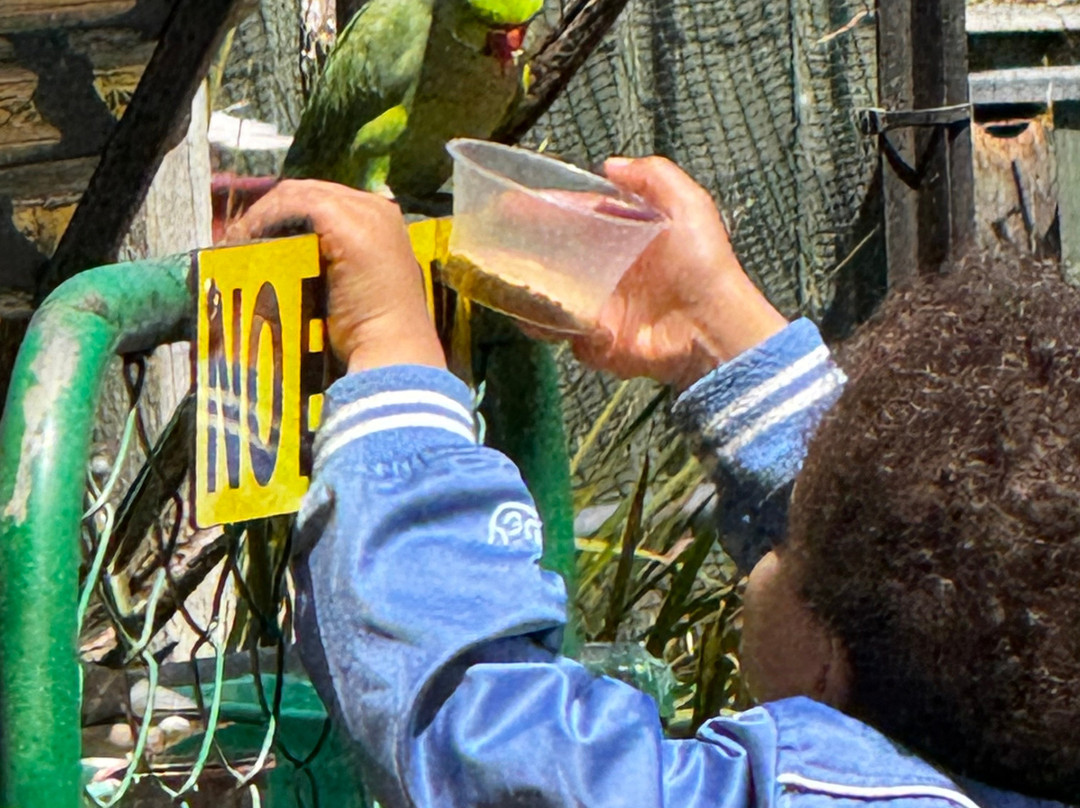 Canberra Walk in Aviary-尼克斯必去景点