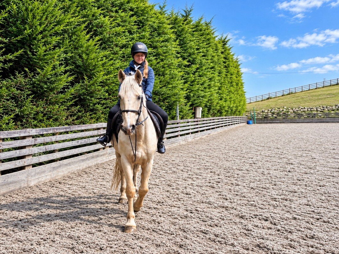 The Paddocks Riding Centre-都柏林必去景点