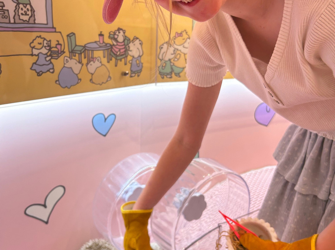 Harajuku Kawaii Land Kyun Kyun-涩谷区必去景点