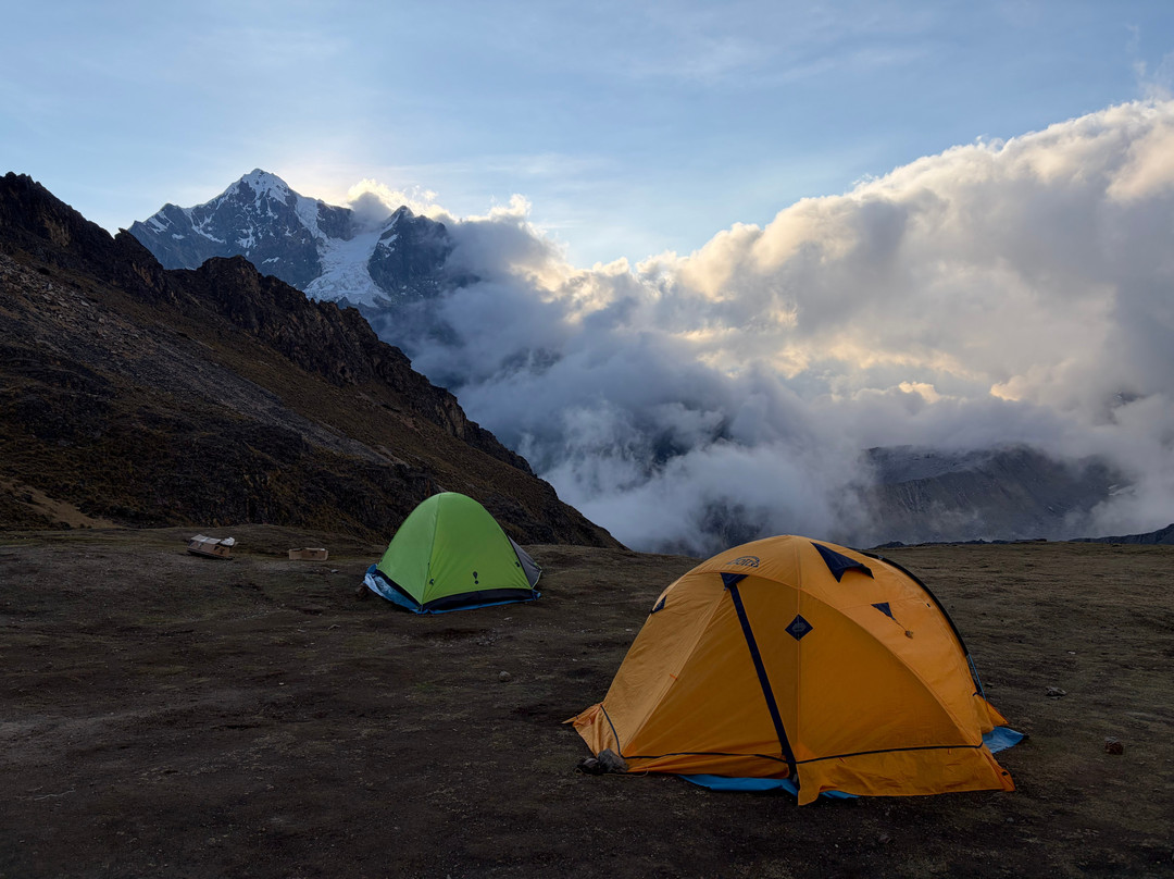 Alpaca Expeditions-库斯科必去景点