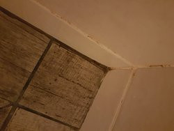 Hotel Les Nympheas主图