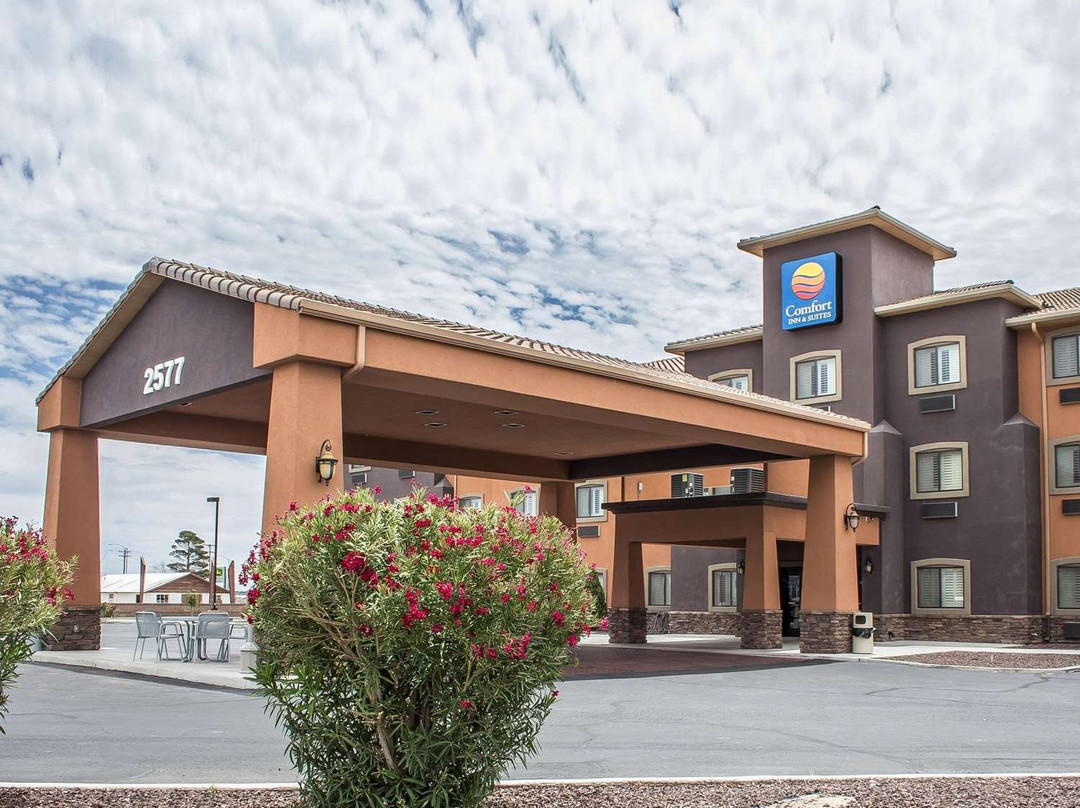 Morenci酒店住宿-Comfort Inn & Suites Thatcher - Safford