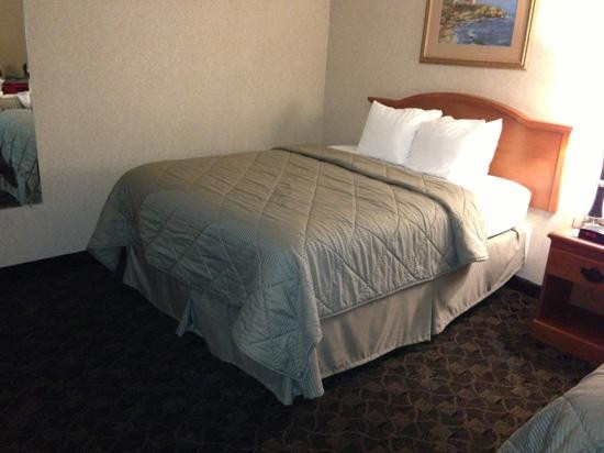 Quality Inn & Suites