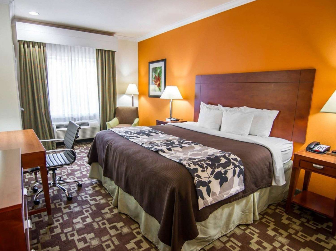 Sleep Inn & Suites I-20主图