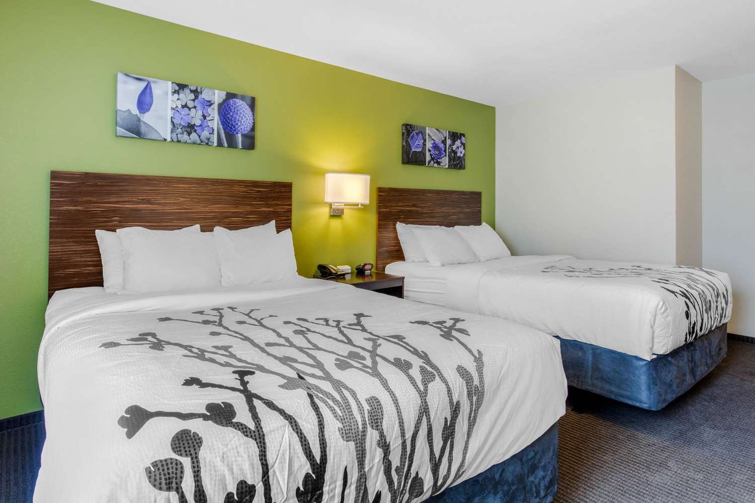 Comfort Inn St Louis - Airport-官方