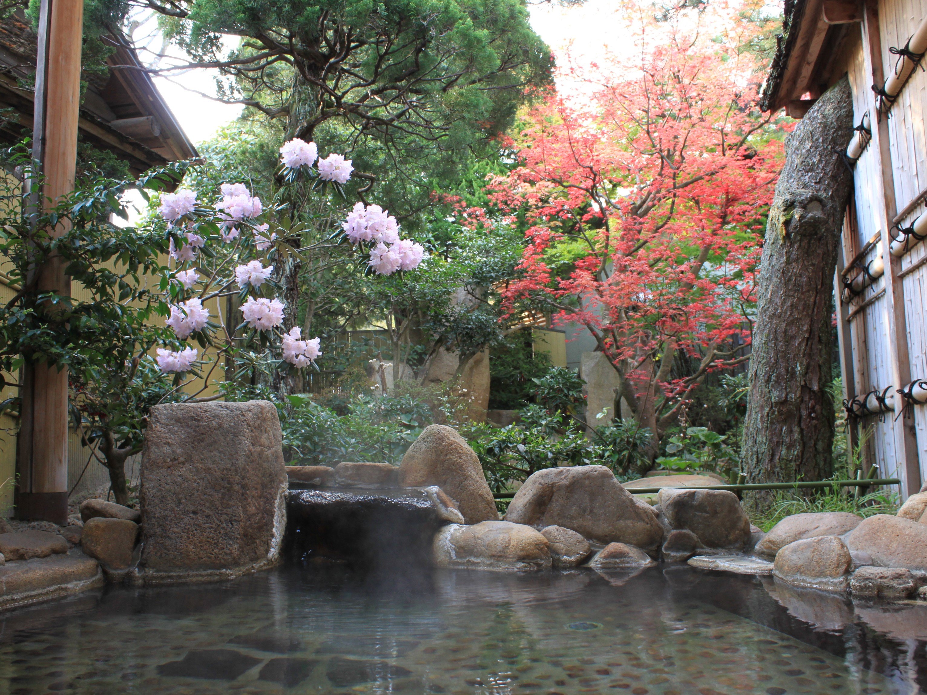 Chikuyo-官方
