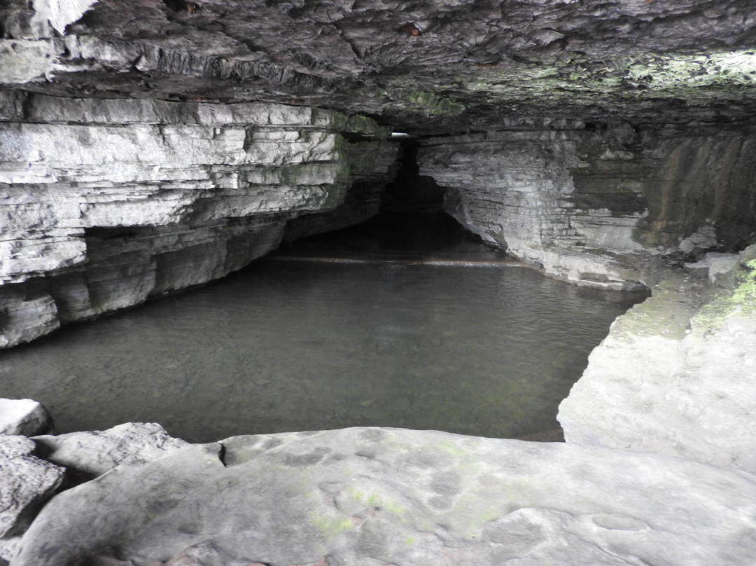 Cave Spring Hollow景点图片