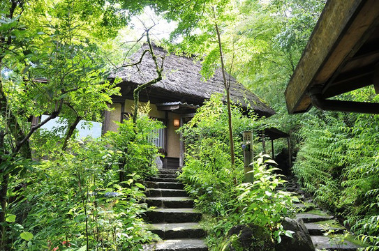 忘怀乡 雅叙苑主图