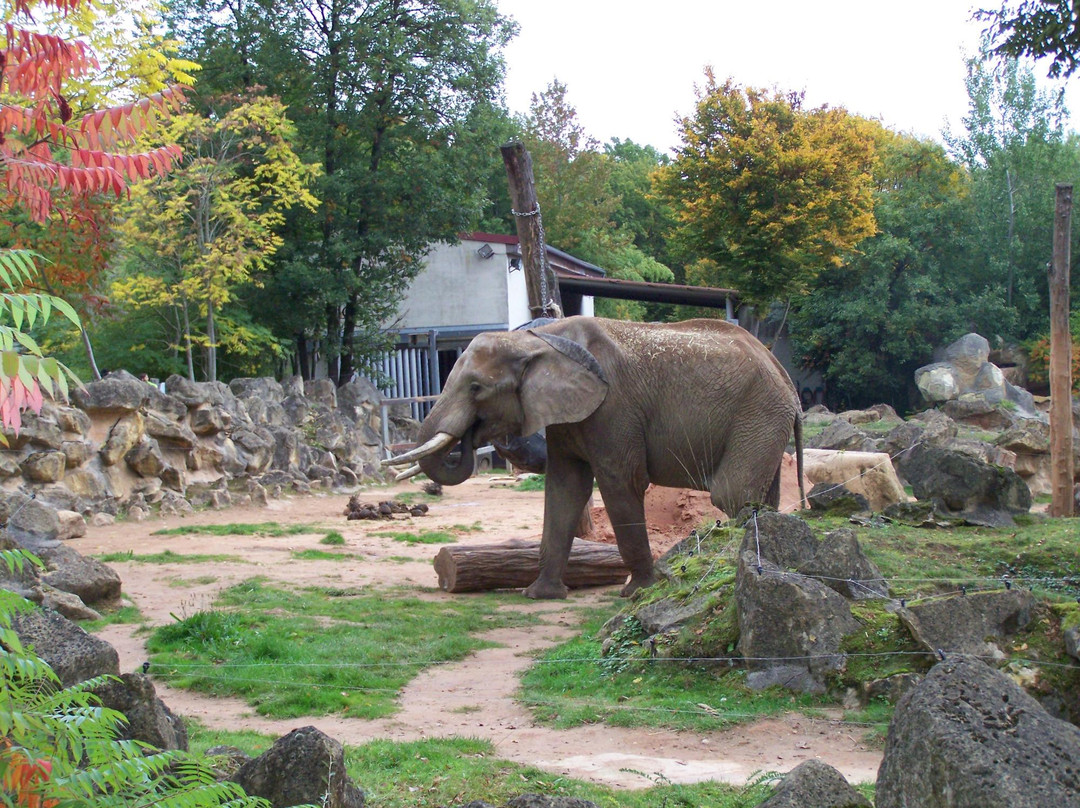 Zoo d'Amneville景点图片