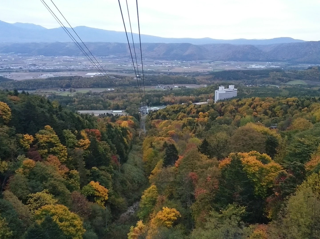 Furano Ropeway景点图片