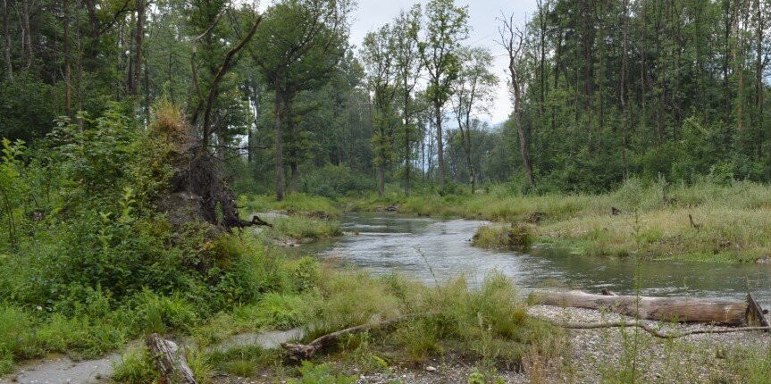 Der Werdenberger Binnenkanal