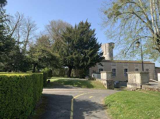 Château de Taillebourg景点图片