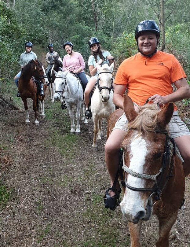 Kurland Park Horse Trails-普利登堡湾必去景点