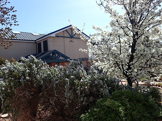 St George Art Museum-圣乔治必去景点