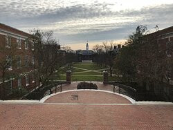 约翰霍普金斯大学-巴尔的摩必去景点