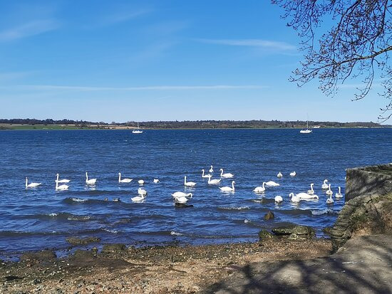 The Walls, Mistley Towers景点图片