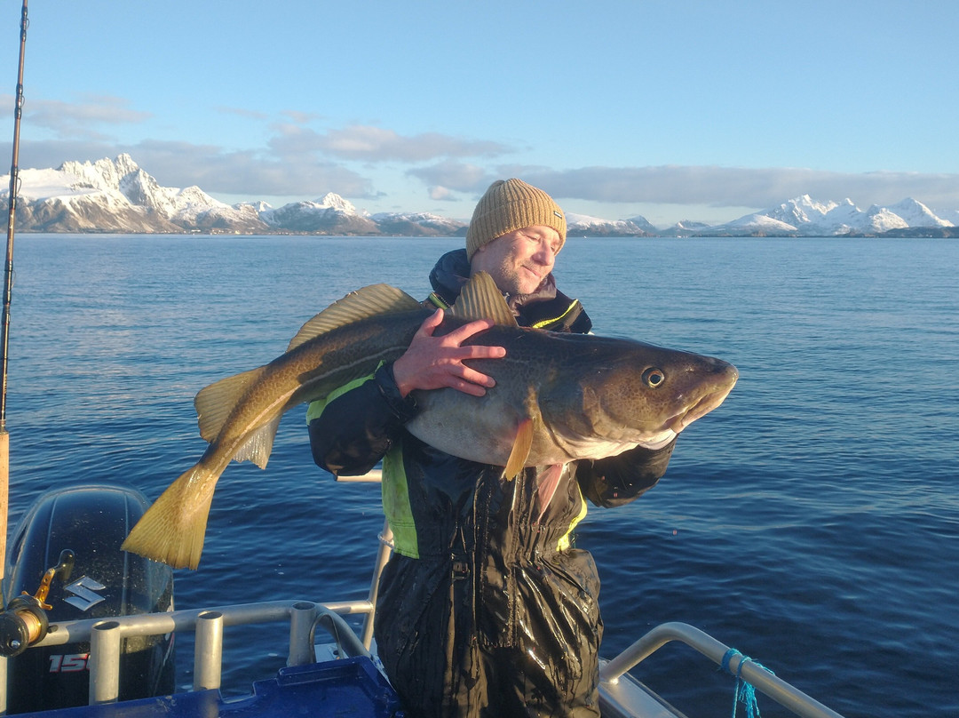 Arctic Spearfishing & guided fishing景点图片
