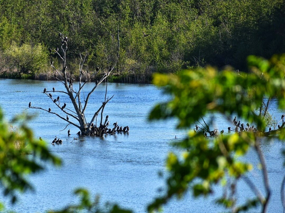 卡普里旅馆主图