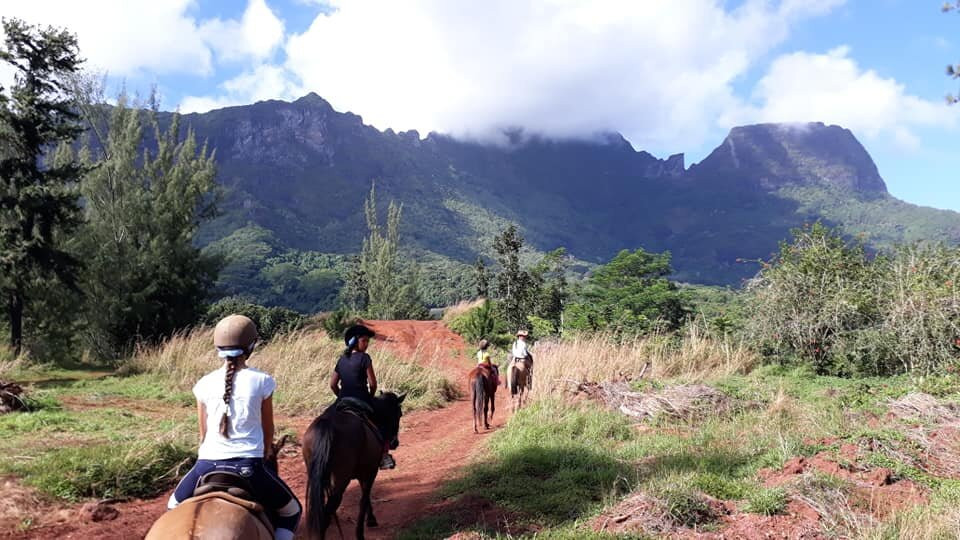 Ranch Opunohu Valley-马哈雷帕必去景点