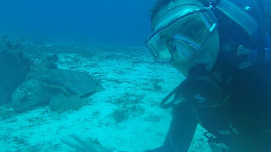 Wet Set Diving Adventures-从莫雷洛斯港必去景点