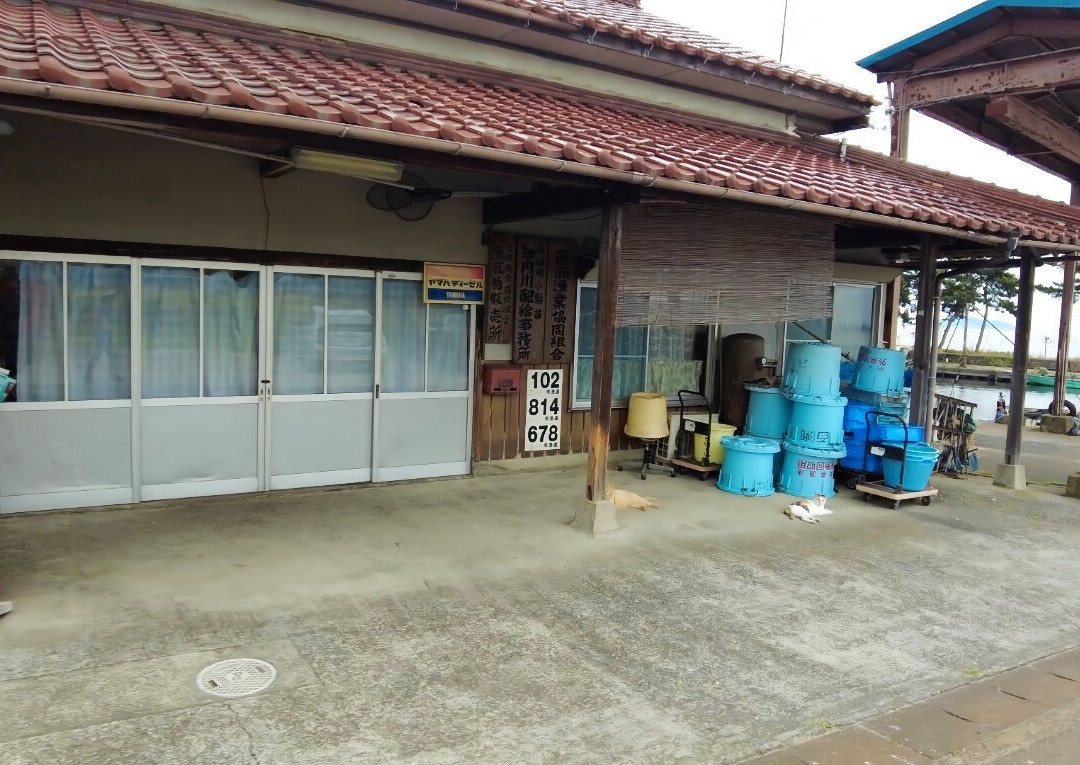 Makino Sunny Beach Chinaihama Auto Campsite