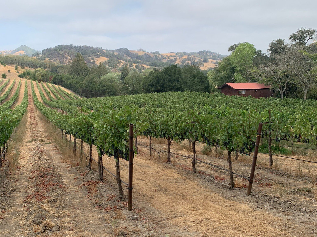 Art House Hotel主图