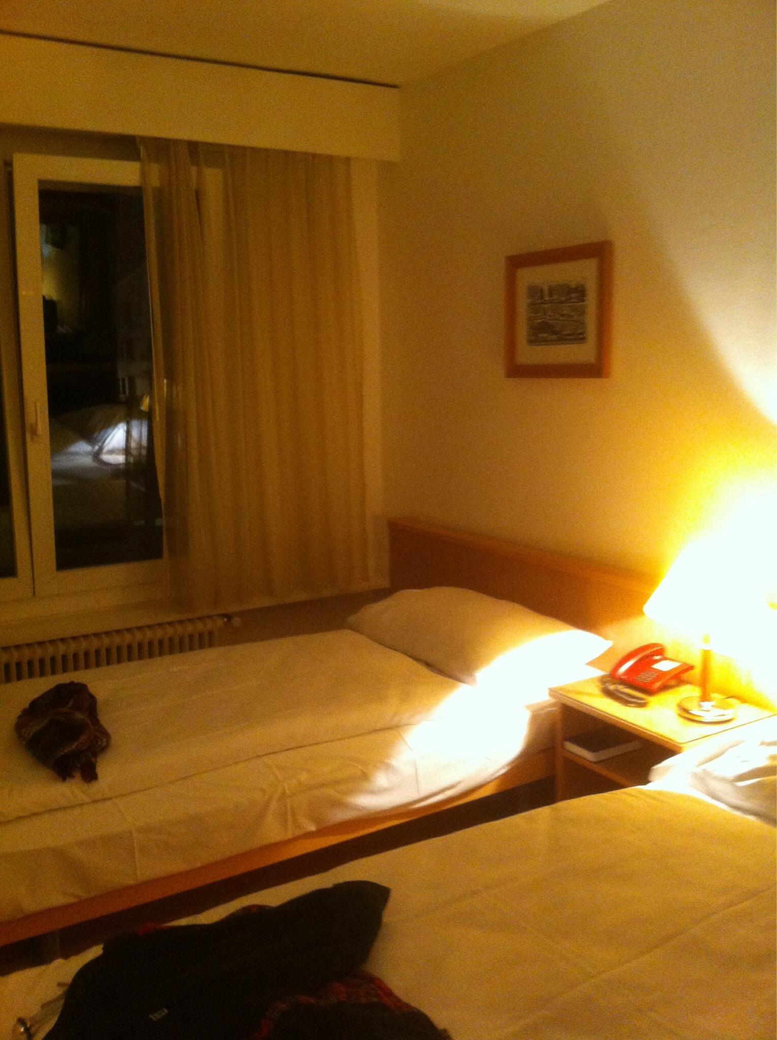 Hotel des Alpes-客卧