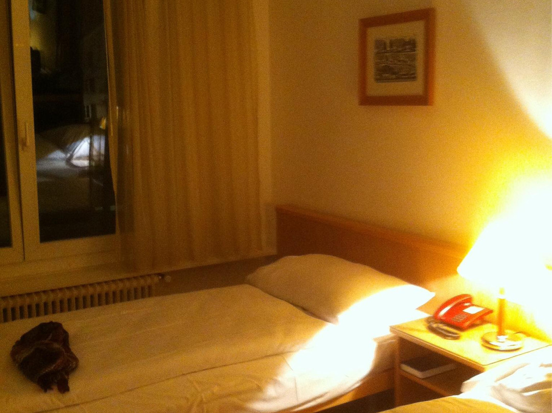 Hotel des Alpes主图