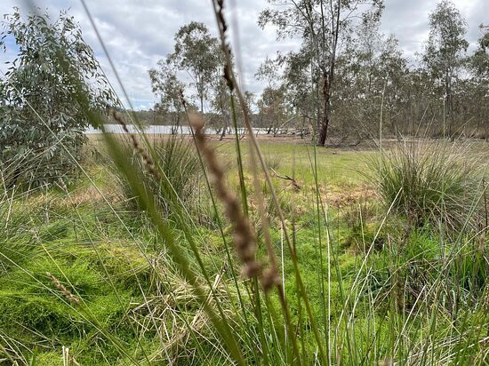 Barkers Creek Reservoir-Harcourt必去景点