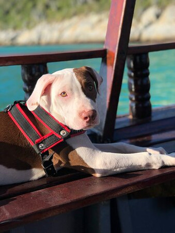 Baruch Turismo-阿拉伊阿尔港必去景点