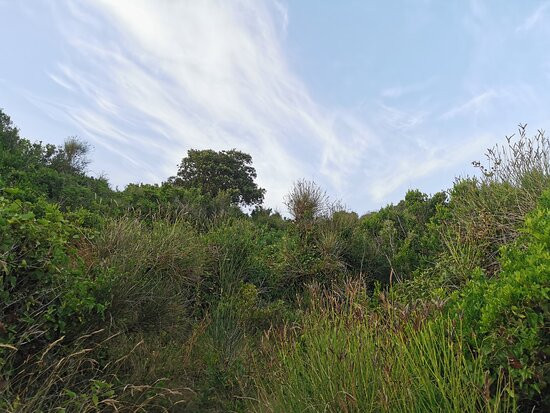 Parco Di Gianola E Monte Di Scauri-Formia必去景点