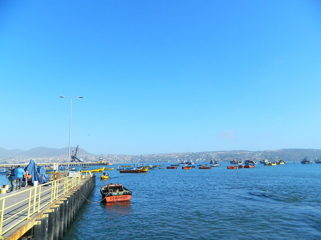 Caleta De Guayacán-Coquimbo必去景点