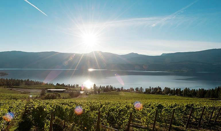 Sip Happens Wine Tours-Lake Country必去景点