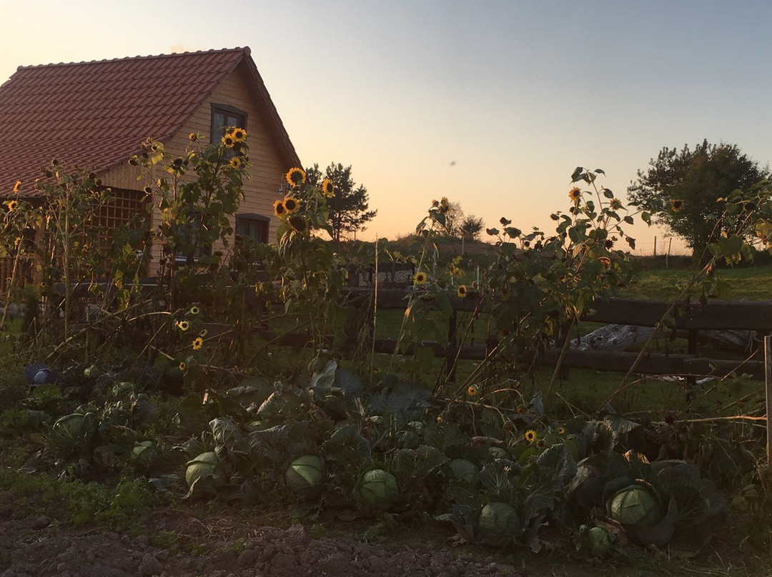 Ranczo Nad Stawem